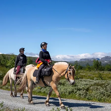 Lejlighed Perfectly Located With Access And Sauna Beitostolen