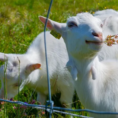 Perfectly Located With Access And Sauna *